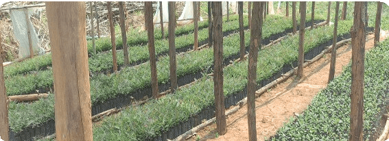 Advocacy & Awareness